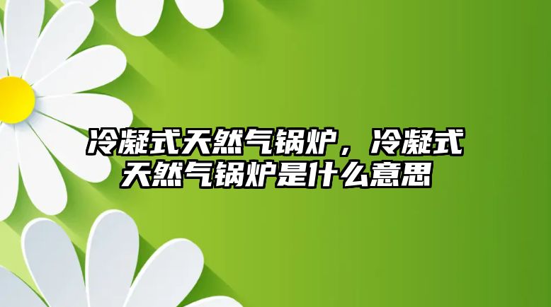 冷凝式天然氣鍋爐，冷凝式天然氣鍋爐是什么意思