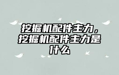 挖掘機(jī)配件主力，挖掘機(jī)配件主力是什么