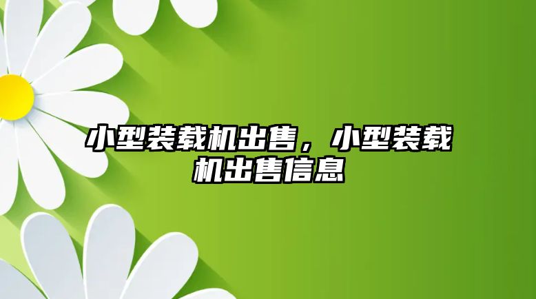 小型裝載機出售，小型裝載機出售信息