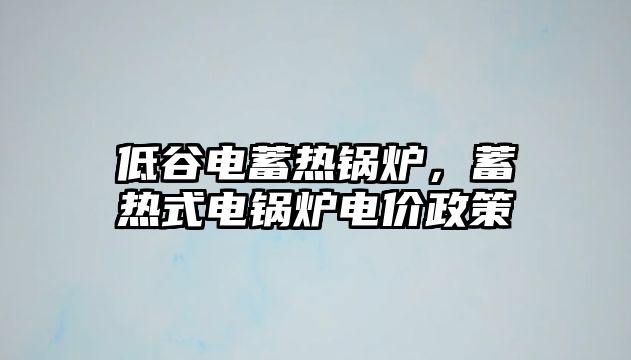 低谷電蓄熱鍋爐，蓄熱式電鍋爐電價政策