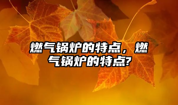 燃?xì)忮仩t的特點(diǎn)，燃?xì)忮仩t的特點(diǎn)?