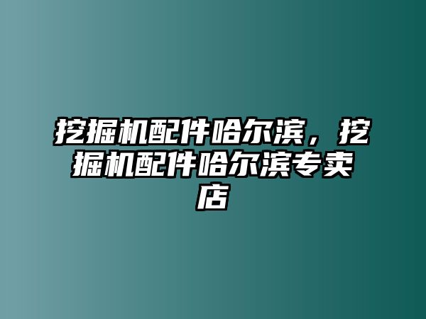 挖掘機(jī)配件哈爾濱，挖掘機(jī)配件哈爾濱專賣店