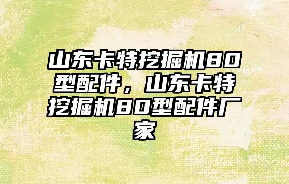 山東卡特挖掘機80型配件，山東卡特挖掘機80型配件廠家