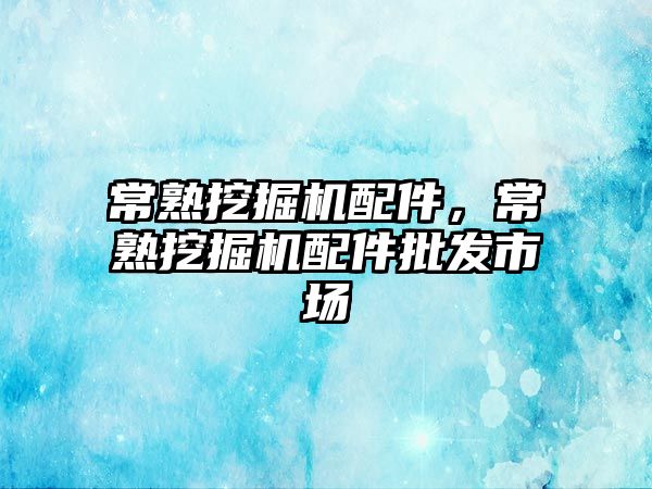 常熟挖掘機配件，常熟挖掘機配件批發(fā)市場