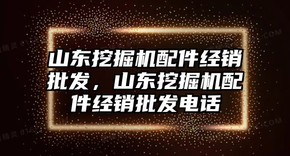 山東挖掘機配件經(jīng)銷批發(fā)，山東挖掘機配件經(jīng)銷批發(fā)電話