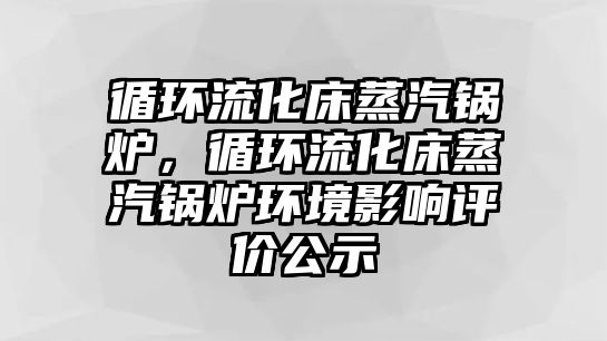 循環(huán)流化床蒸汽鍋爐，循環(huán)流化床蒸汽鍋爐環(huán)境影響評(píng)價(jià)公示