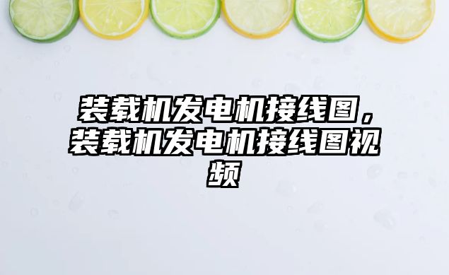 裝載機發(fā)電機接線圖，裝載機發(fā)電機接線圖視頻