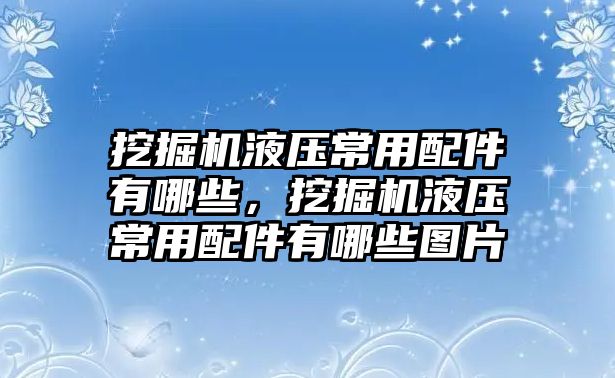 挖掘機(jī)液壓常用配件有哪些，挖掘機(jī)液壓常用配件有哪些圖片