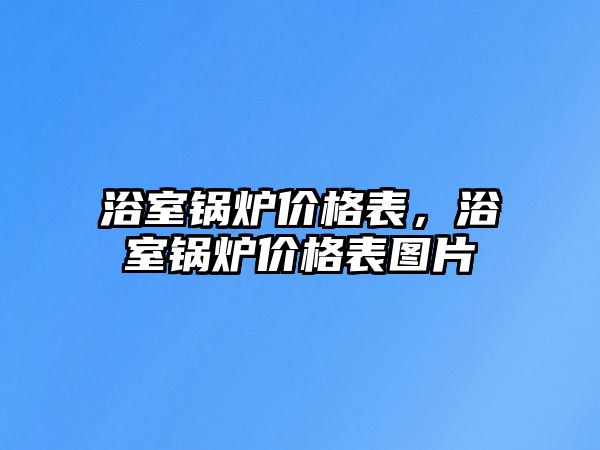 浴室鍋爐價格表，浴室鍋爐價格表圖片