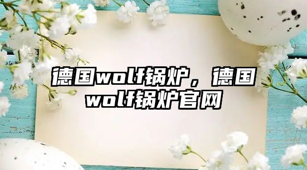 德國wolf鍋爐，德國wolf鍋爐官網(wǎng)