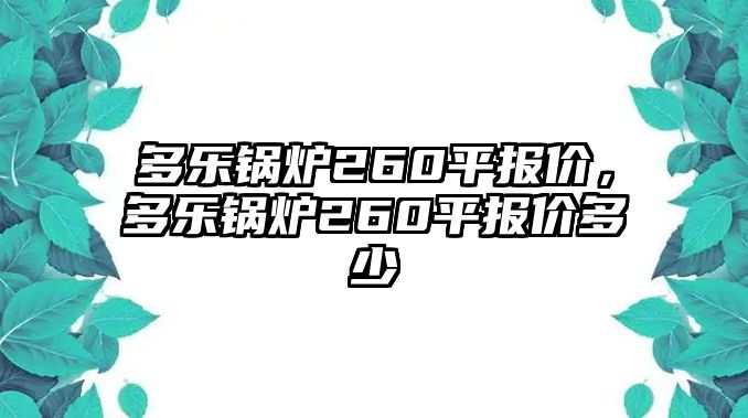 多樂鍋爐260平報(bào)價(jià)，多樂鍋爐260平報(bào)價(jià)多少