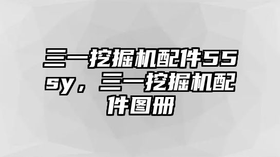 三一挖掘機配件55sy，三一挖掘機配件圖冊