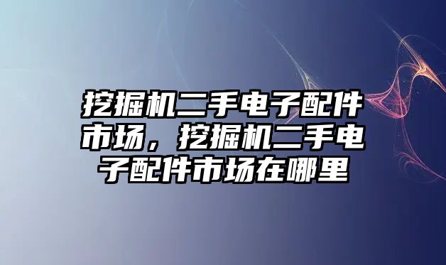 挖掘機二手電子配件市場，挖掘機二手電子配件市場在哪里