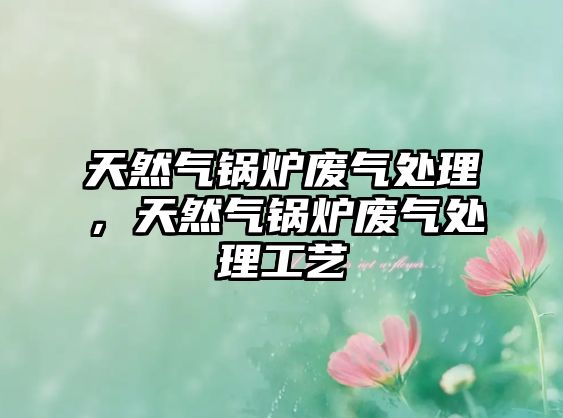 天然氣鍋爐廢氣處理，天然氣鍋爐廢氣處理工藝