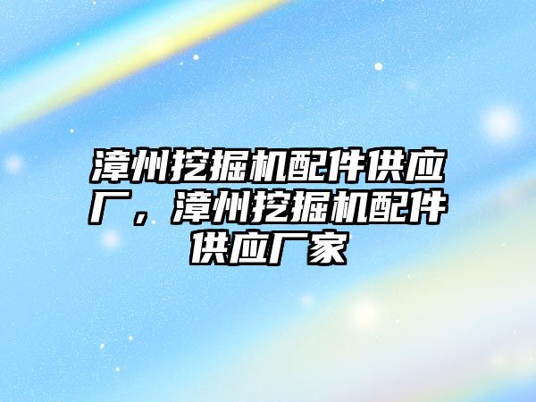 漳州挖掘機配件供應廠，漳州挖掘機配件供應廠家