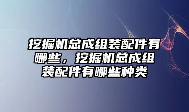 挖掘機(jī)總成組裝配件有哪些，挖掘機(jī)總成組裝配件有哪些種類