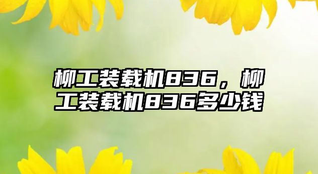 柳工裝載機836，柳工裝載機836多少錢