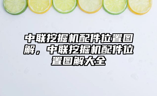 中聯(lián)挖掘機配件位置圖解，中聯(lián)挖掘機配件位置圖解大全