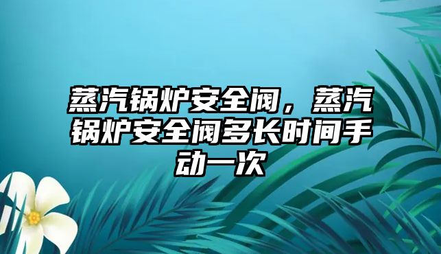 蒸汽鍋爐安全閥，蒸汽鍋爐安全閥多長時(shí)間手動(dòng)一次