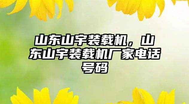 山東山宇裝載機，山東山宇裝載機廠家電話號碼