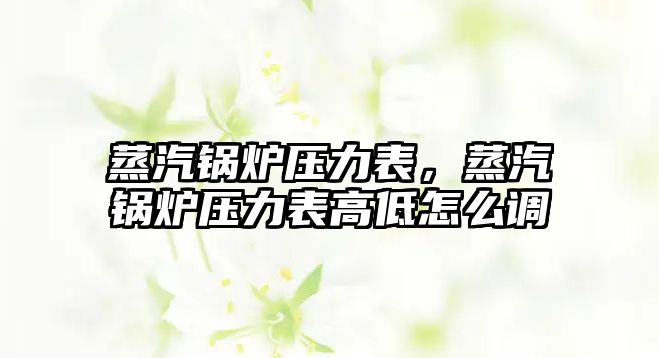 蒸汽鍋爐壓力表，蒸汽鍋爐壓力表高低怎么調