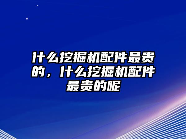 什么挖掘機(jī)配件最貴的，什么挖掘機(jī)配件最貴的呢