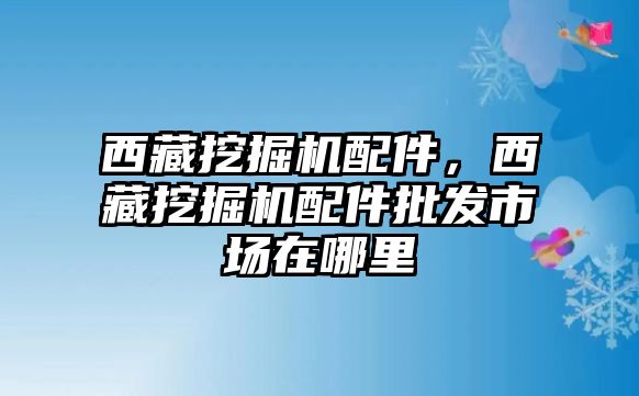 西藏挖掘機配件，西藏挖掘機配件批發(fā)市場在哪里