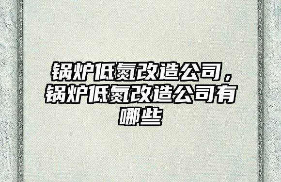 鍋爐低氮改造公司，鍋爐低氮改造公司有哪些