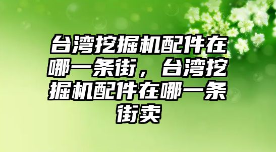 臺灣挖掘機(jī)配件在哪一條街，臺灣挖掘機(jī)配件在哪一條街賣