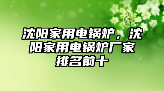 沈陽家用電鍋爐，沈陽家用電鍋爐廠家排名前十