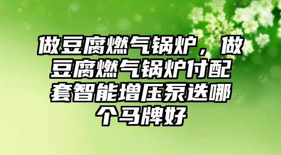 做豆腐燃氣鍋爐，做豆腐燃氣鍋爐付配套智能增壓泵迭哪個馬牌好