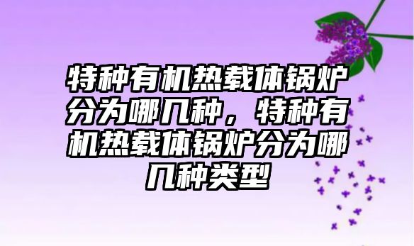 特種有機(jī)熱載體鍋爐分為哪幾種，特種有機(jī)熱載體鍋爐分為哪幾種類型