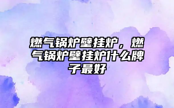 燃?xì)忮仩t壁掛爐，燃?xì)忮仩t壁掛爐什么牌子最好