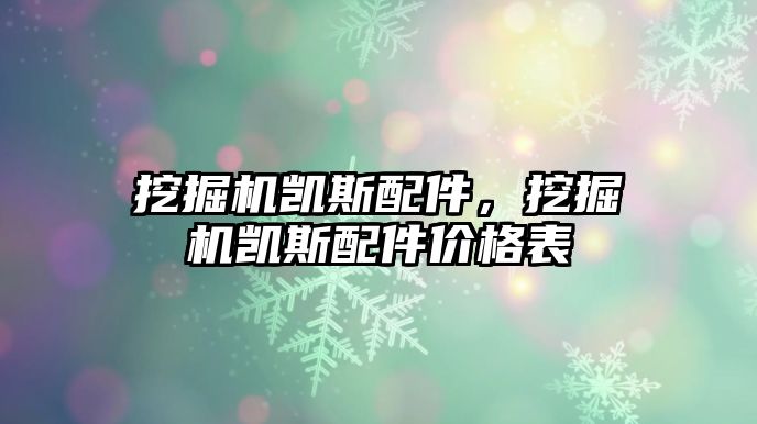 挖掘機凱斯配件，挖掘機凱斯配件價格表