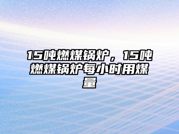 15噸燃煤鍋爐，15噸燃煤鍋爐每小時用煤量