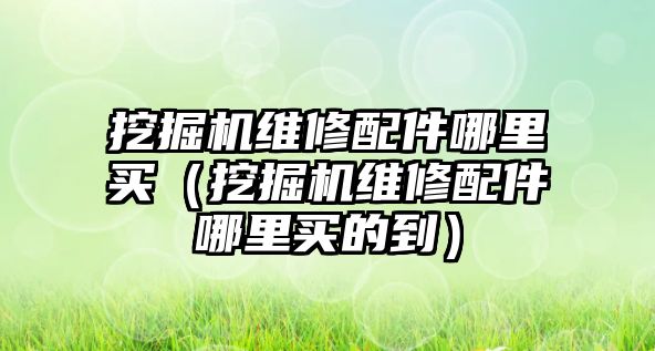 挖掘機維修配件哪里買（挖掘機維修配件哪里買的到）