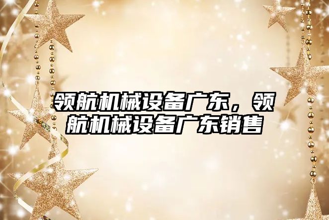 領(lǐng)航機械設(shè)備廣東，領(lǐng)航機械設(shè)備廣東銷售