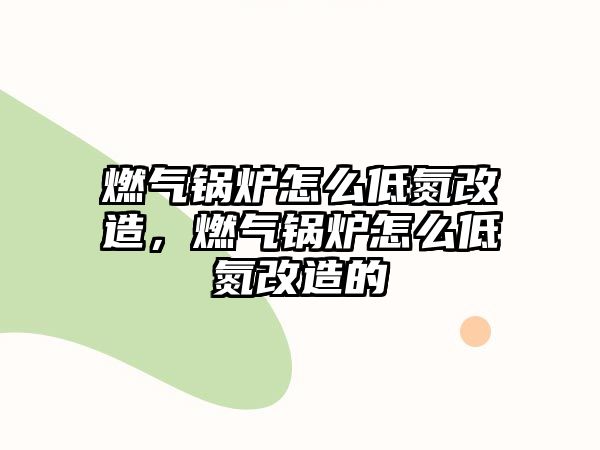 燃?xì)忮仩t怎么低氮改造，燃?xì)忮仩t怎么低氮改造的