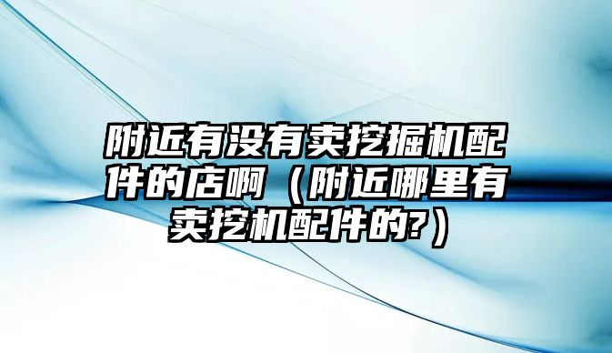 附近有沒有賣挖掘機配件的店?。ǜ浇睦镉匈u挖機配件的?）