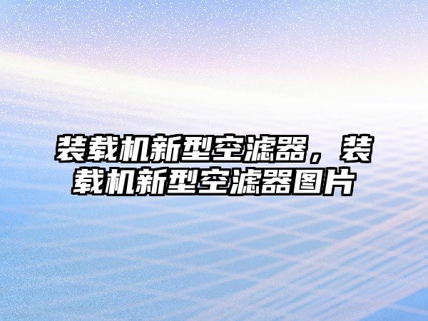 裝載機(jī)新型空濾器，裝載機(jī)新型空濾器圖片