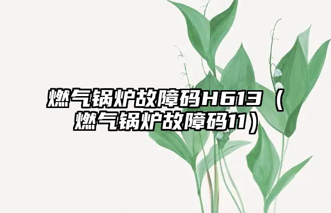 燃氣鍋爐故障碼H613（燃氣鍋爐故障碼11）