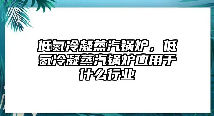 低氮冷凝蒸汽鍋爐，低氮冷凝蒸汽鍋爐應用于什么行業(yè)