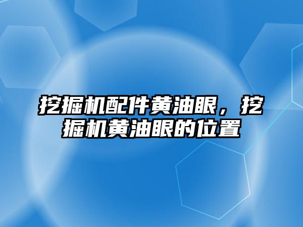 挖掘機配件黃油眼，挖掘機黃油眼的位置