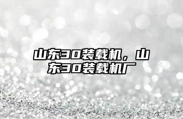 山東30裝載機(jī)，山東30裝載機(jī)廠