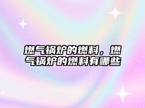 燃?xì)忮仩t的燃料，燃?xì)忮仩t的燃料有哪些