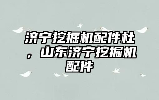 濟(jì)寧挖掘機(jī)配件杜，山東濟(jì)寧挖掘機(jī)配件