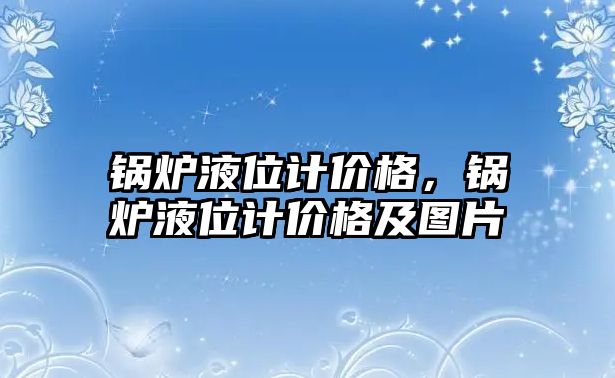 鍋爐液位計價格，鍋爐液位計價格及圖片