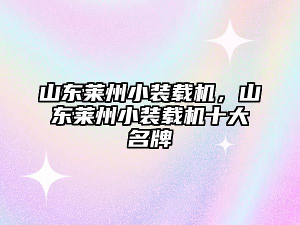 山東萊州小裝載機，山東萊州小裝載機十大名牌