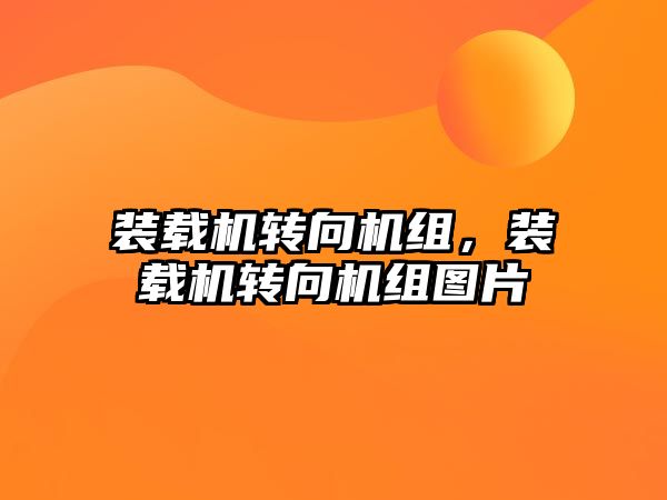 裝載機轉(zhuǎn)向機組，裝載機轉(zhuǎn)向機組圖片