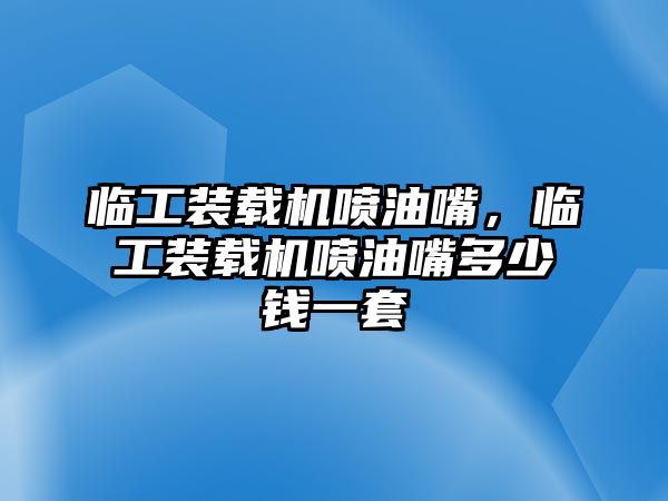 臨工裝載機(jī)噴油嘴，臨工裝載機(jī)噴油嘴多少錢一套